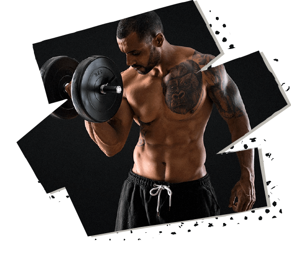 https://kalamakara.com/wp-content/uploads/2021/05/hero_image_07.png